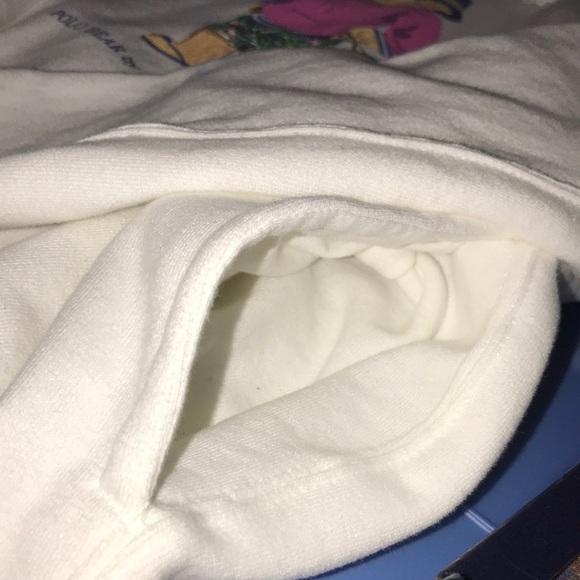 POLO RALPH LAUREN BEAR VACATION PULLOVER HOODIE - Picture 8 of 11